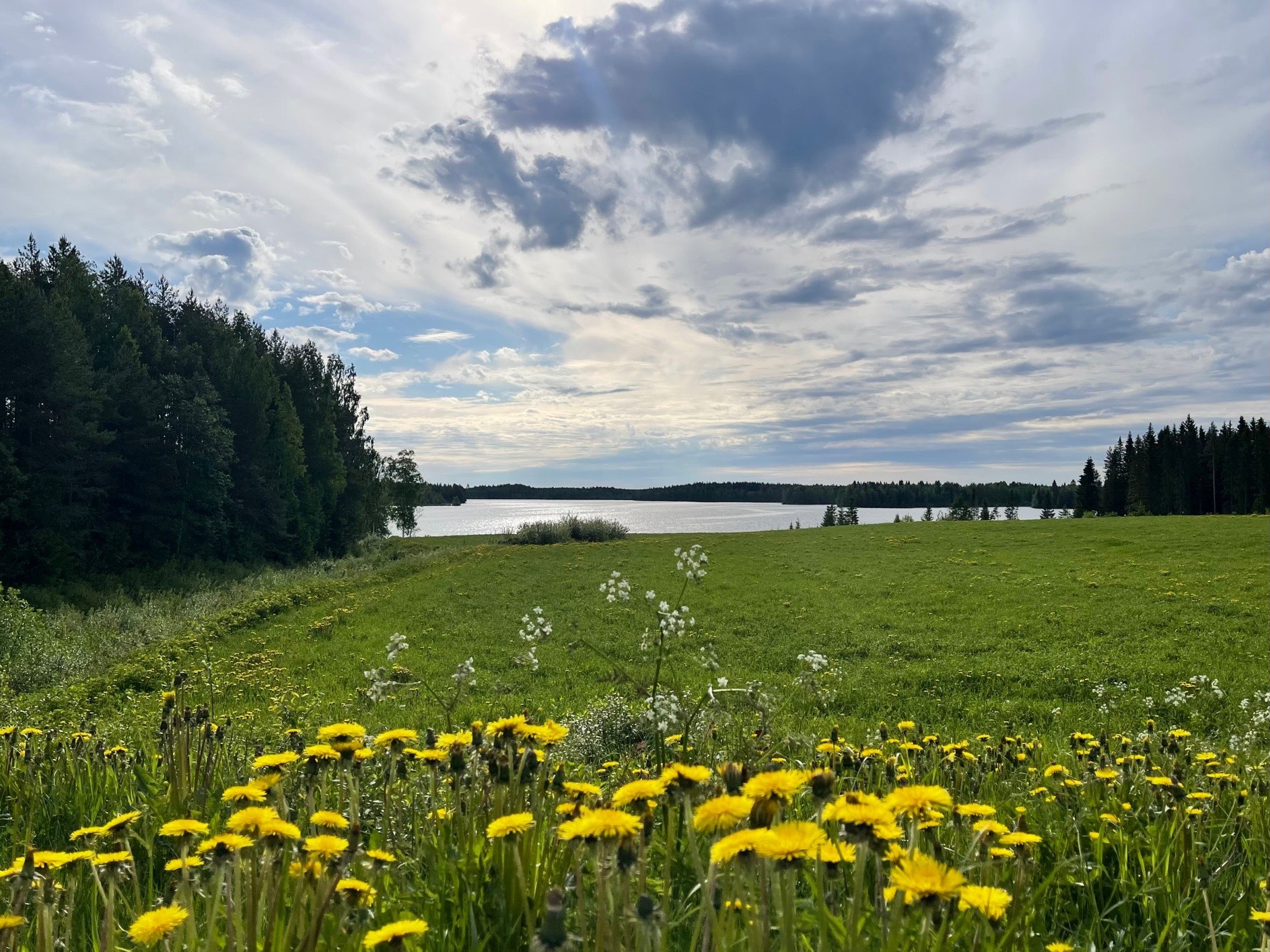 Etusivu - Kinnulan kunta